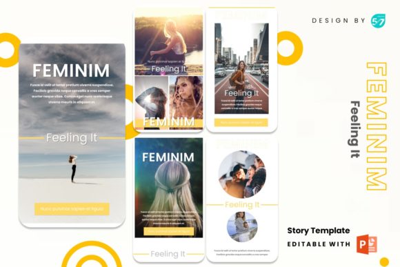 Download Instagram Stories Template - Feminim - Instagram Collection